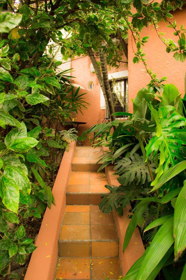 Raiz Hostel Medellín Exterior foto
